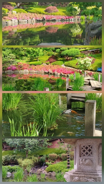 Datei:MuVaKi2025 1.jpg